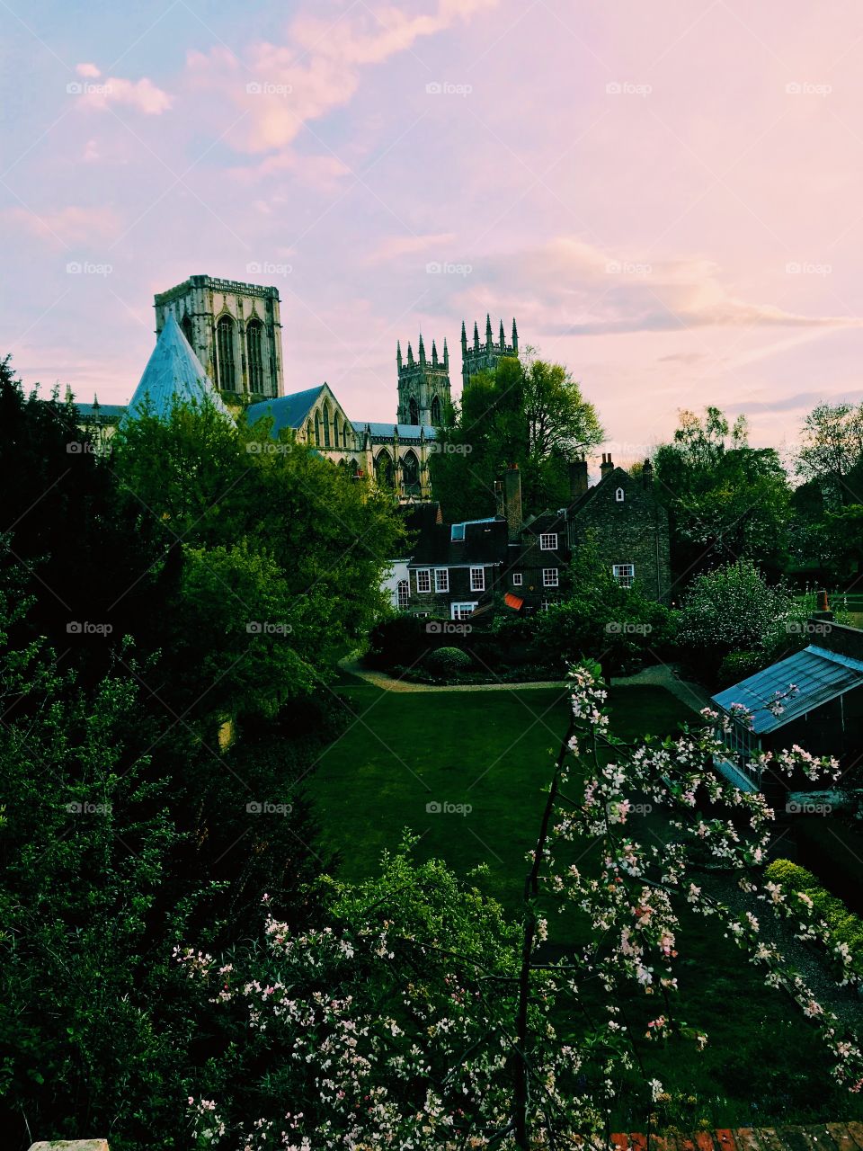 Another hidden view of the Minster, this image shows the minster against a pink evening sky with springtime blossom in the foreground. 