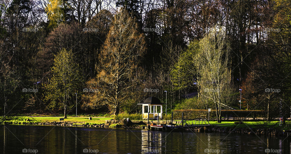 Waiting for the melodies of summer