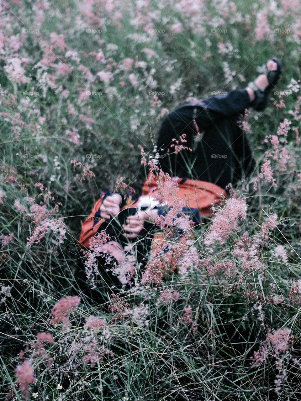 A girl lying down in a pink flowering grass land