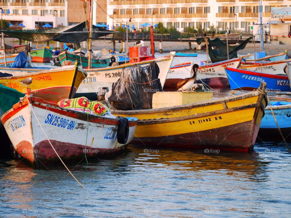 Fisher boats 