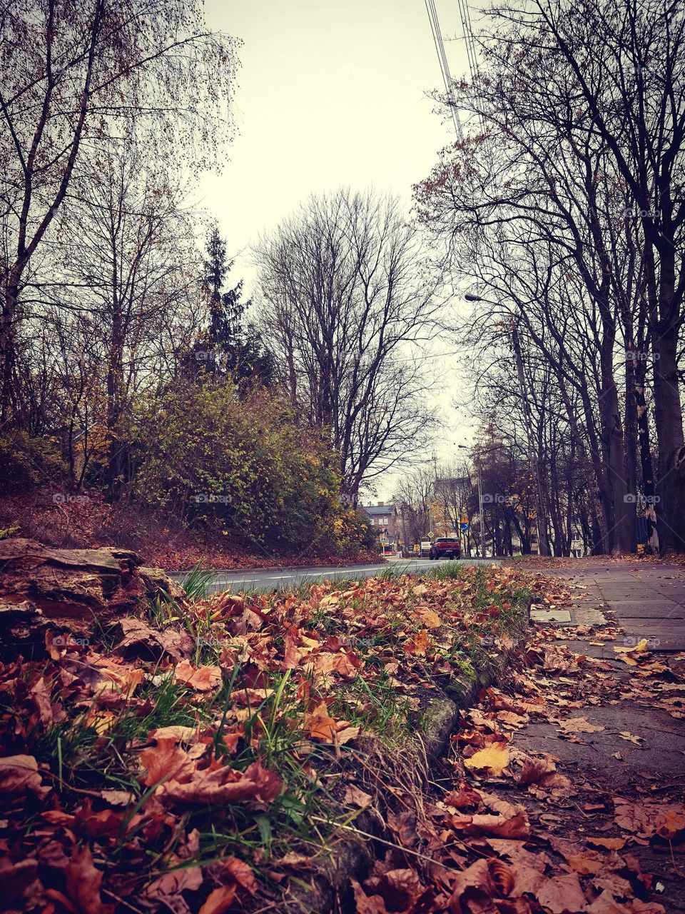 Streets while Autumn in Poland 