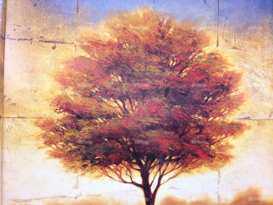 Picture of a tree