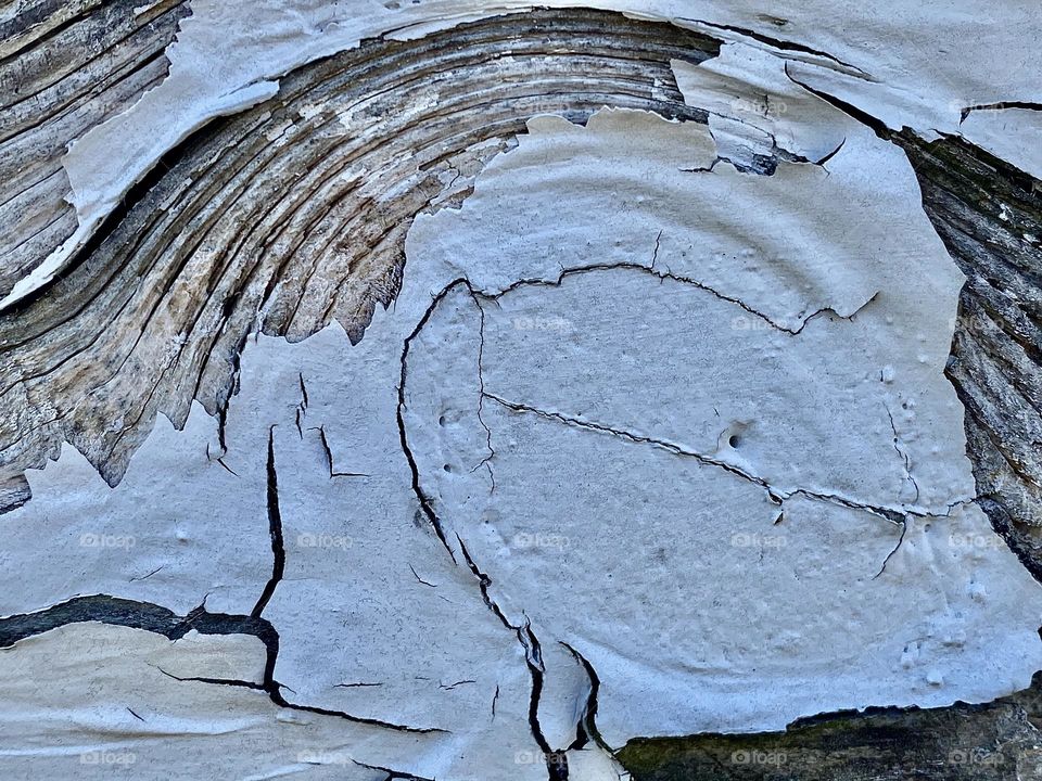 Peeling paint on old weathered barn wood