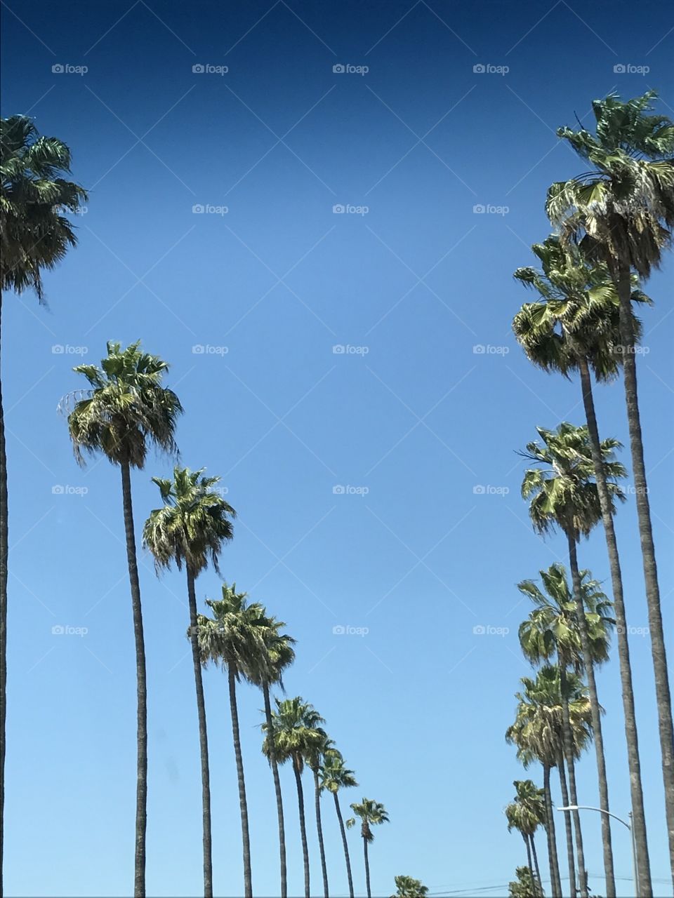 Los Angeles 