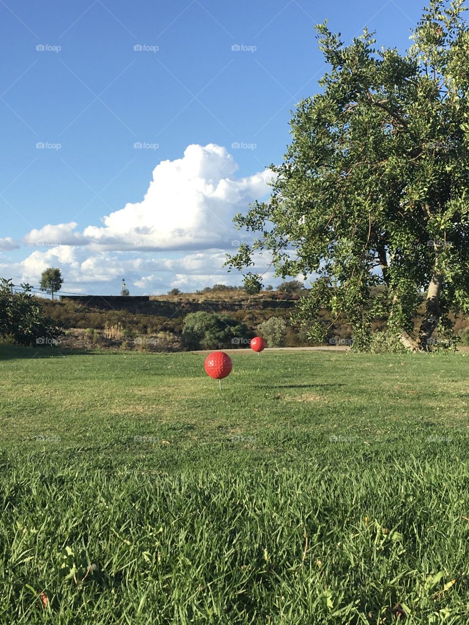 Green, country and clouds