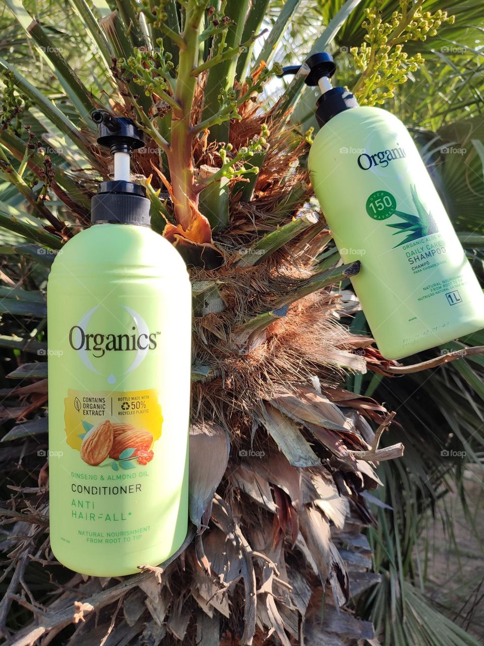 Organis Daily Care 2-in-1, Shampoo and Conditioner