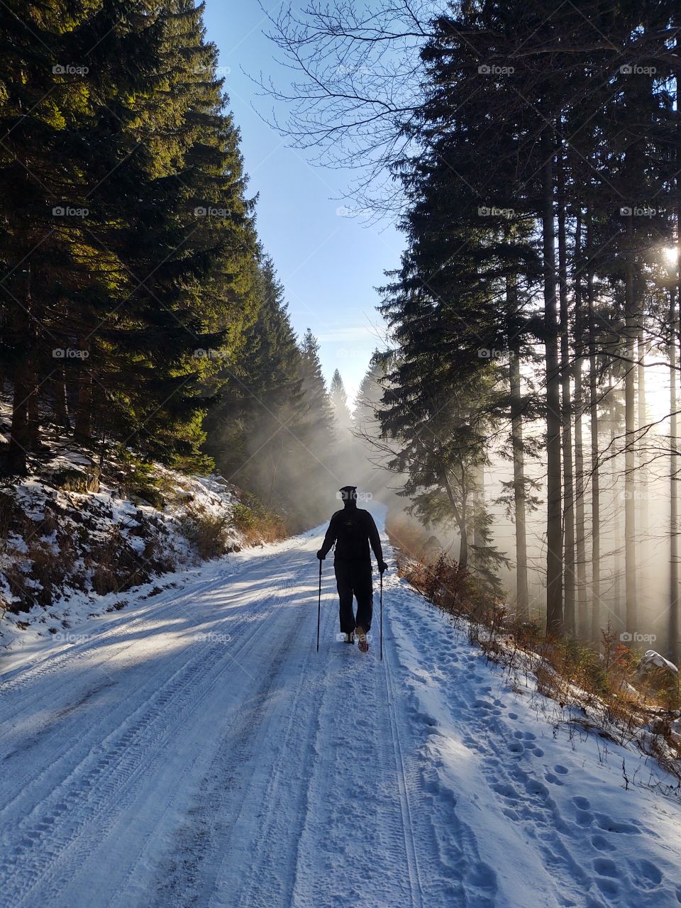 man hiking in the woods during winter