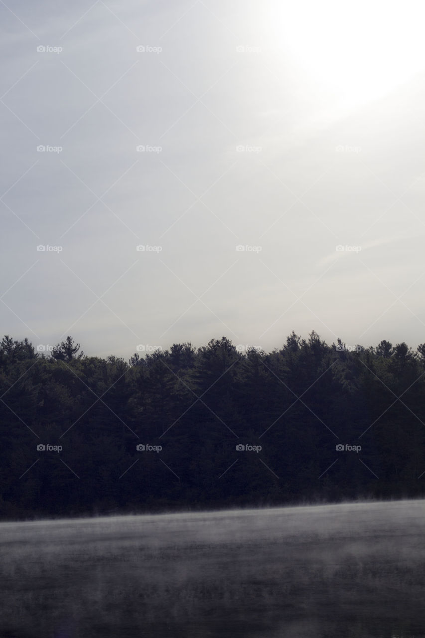 morning fog. morning fog on the water