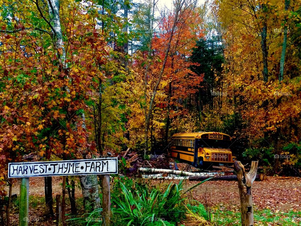 Grafton Notch State Park 
