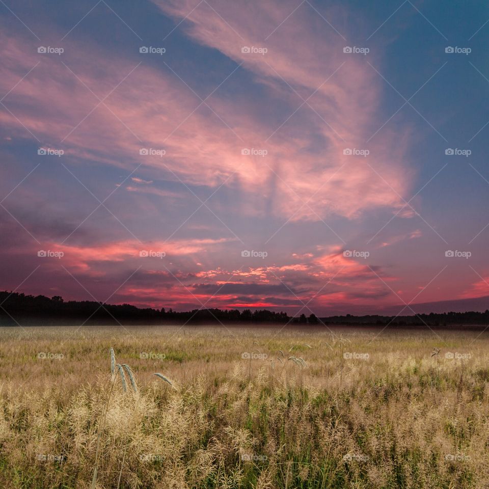 Sunset on the field