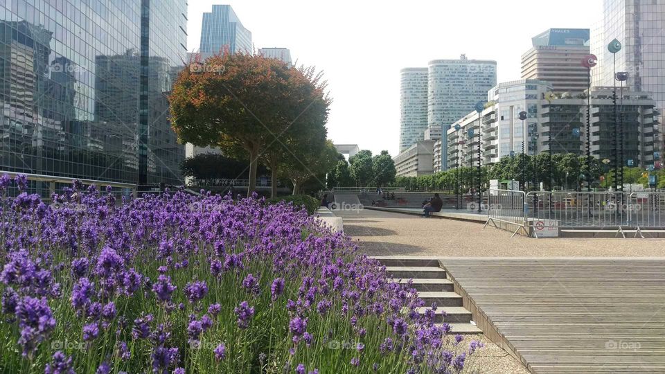 La Defense, Paris