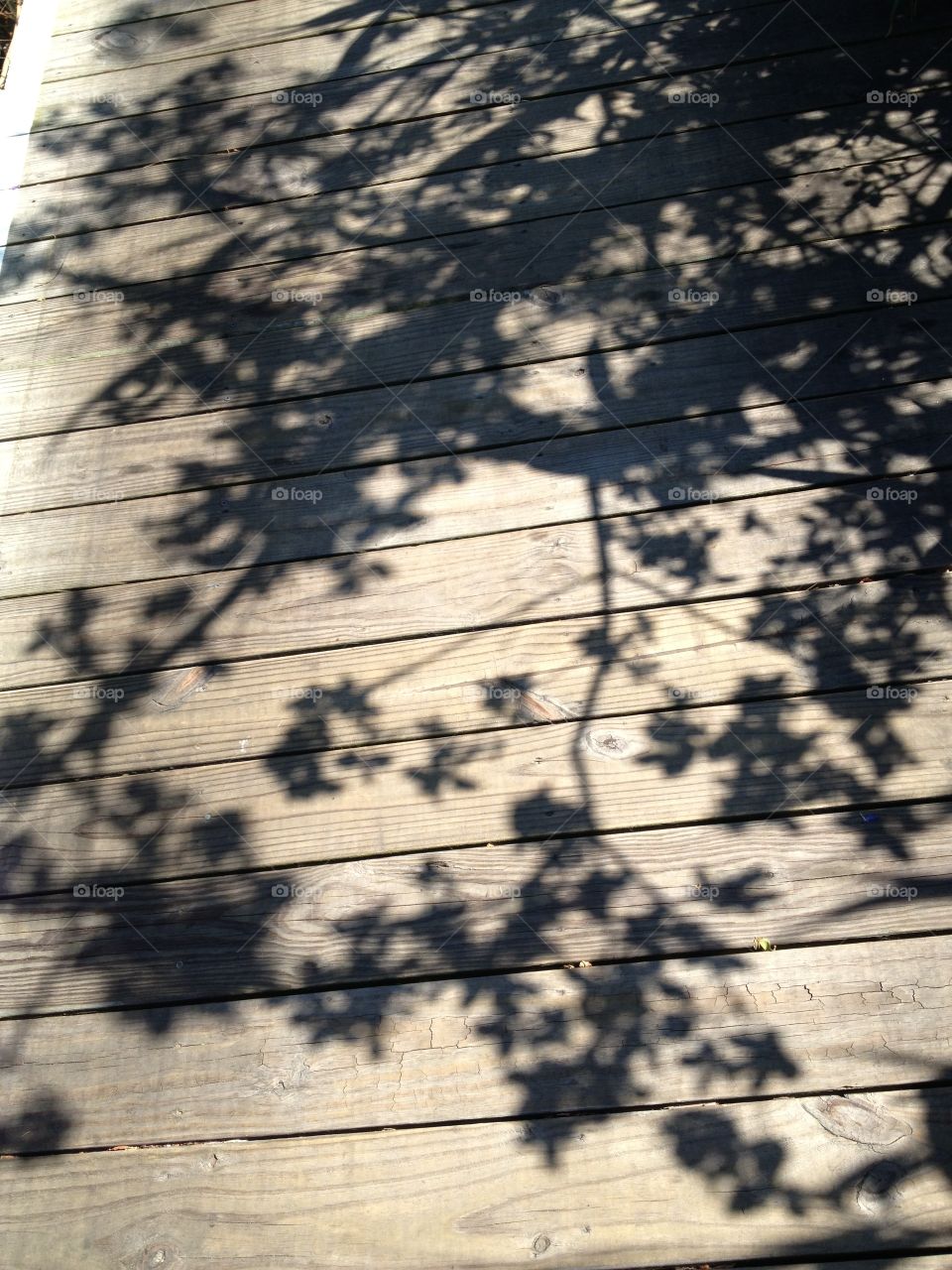 Shadows on the boardwalk of fire island 