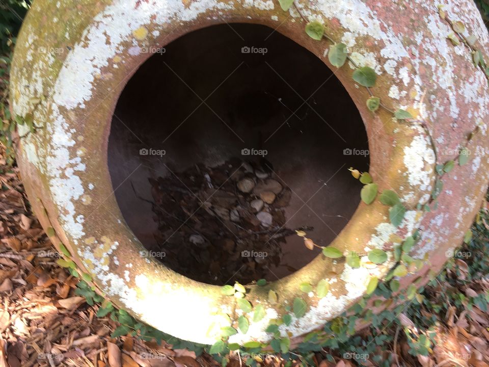 Through a pot at the Fountain of Youth in St Augustine Florida 