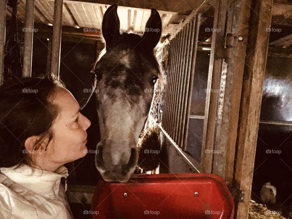 With horse kern inside the box 