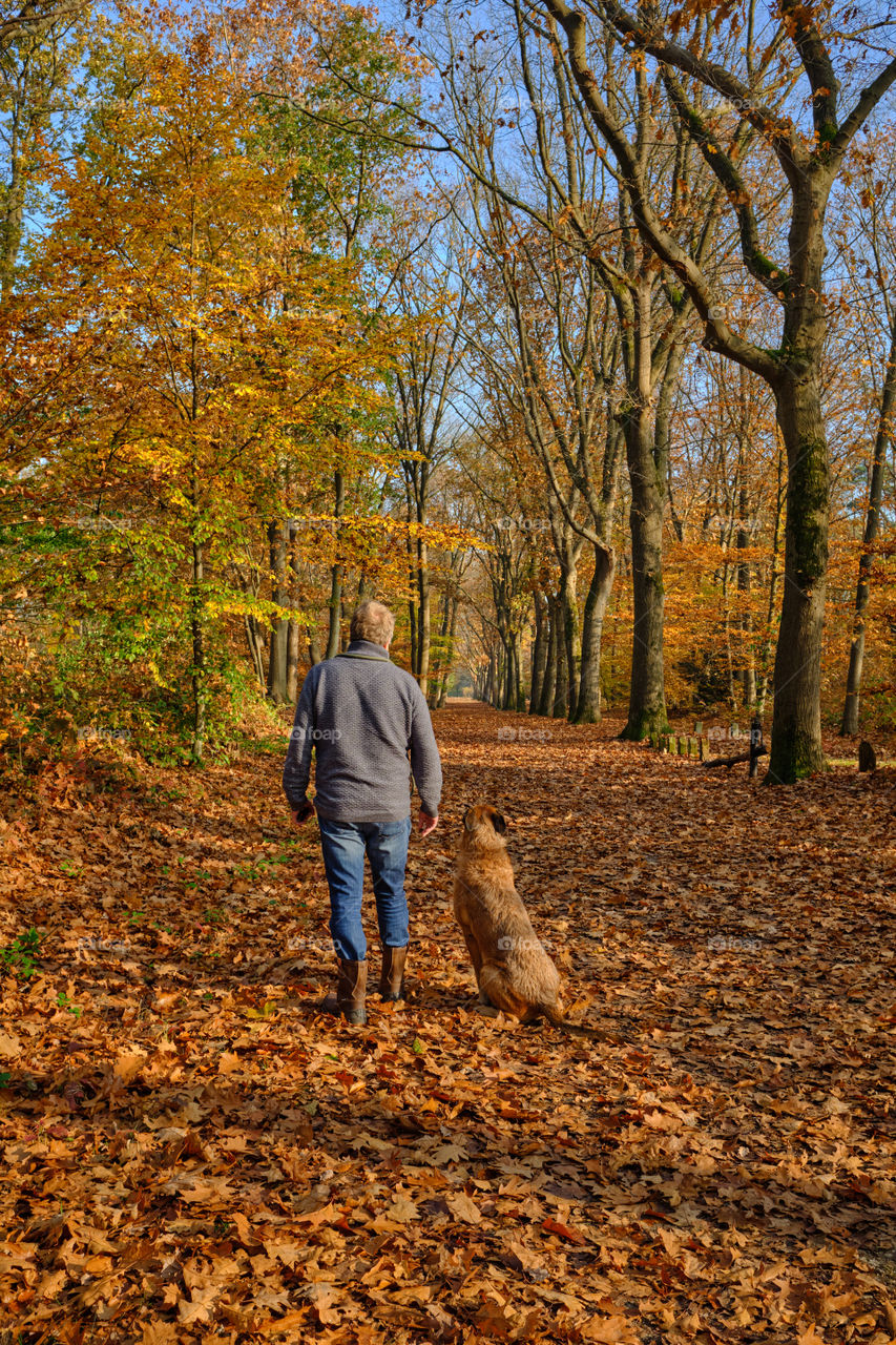 Full length view of man and dog on forest path. 