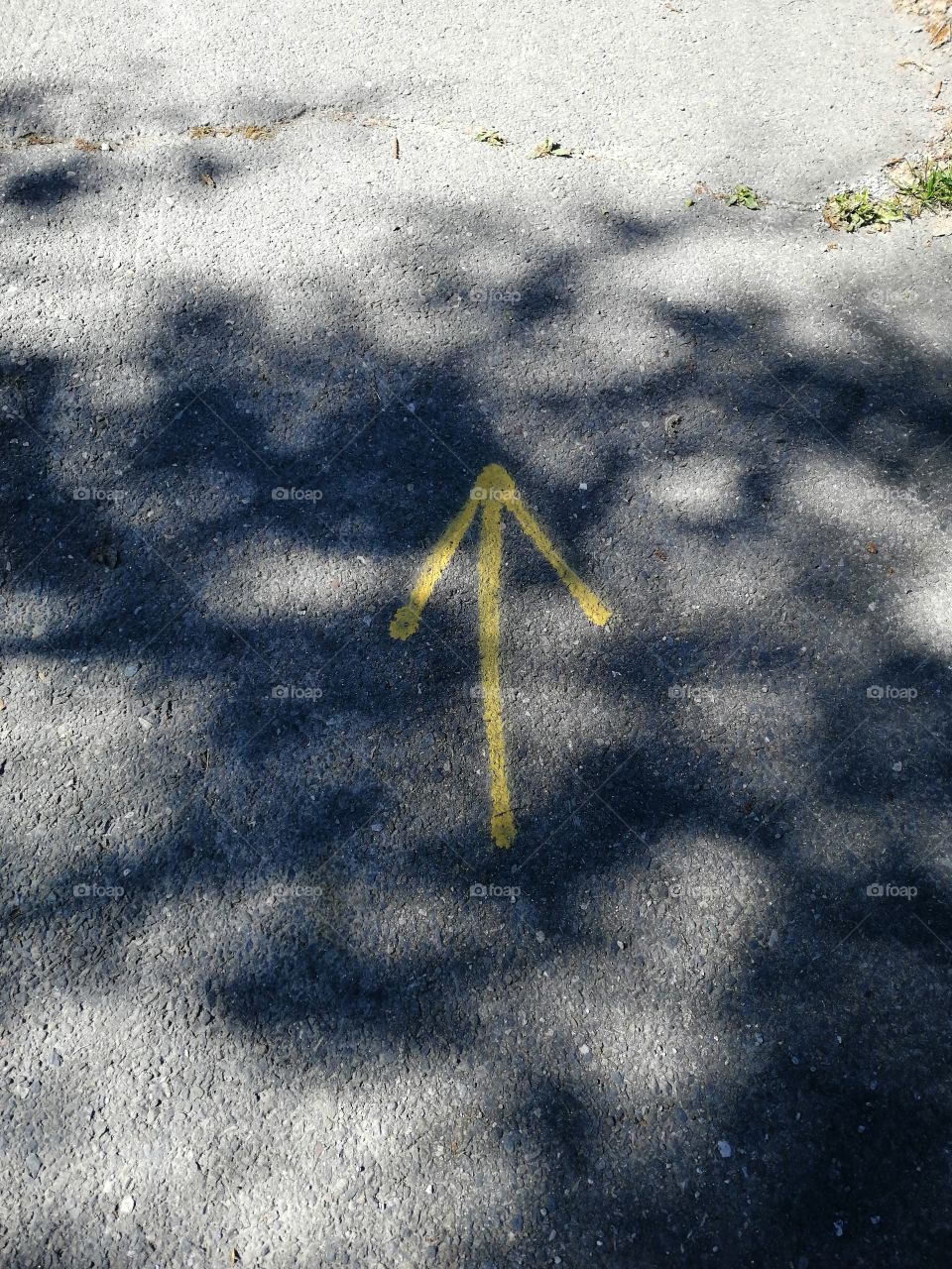 where are you headed?