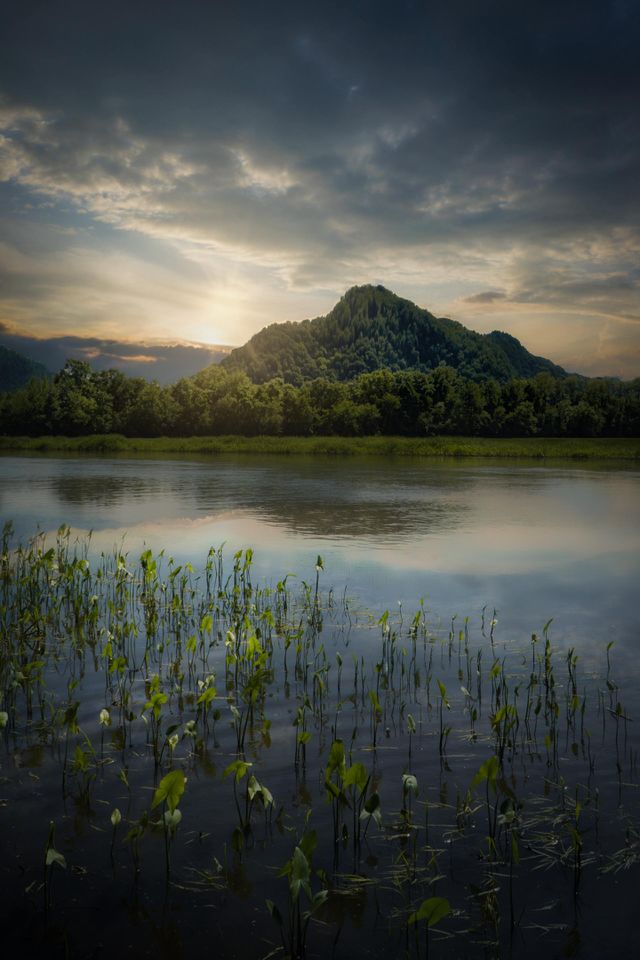 green mountain