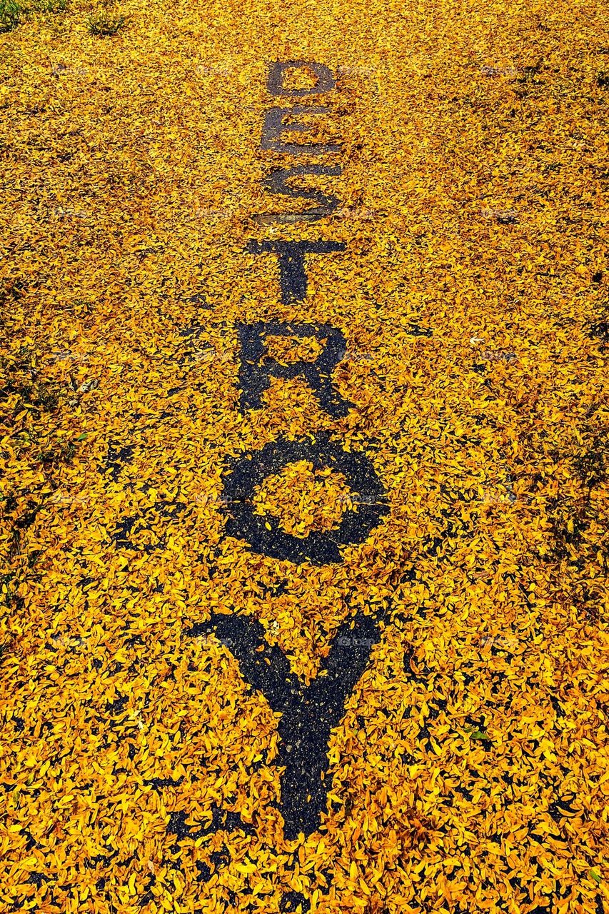 Letters In The Leaves: Destroy
