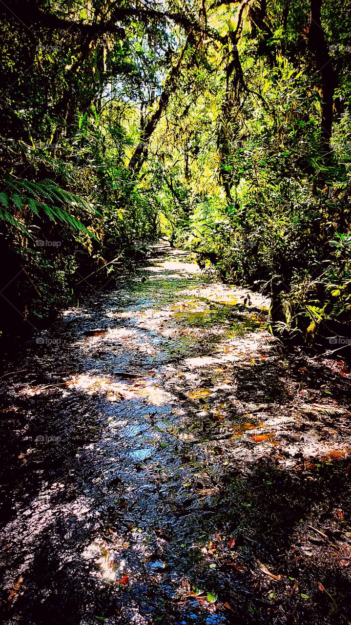 ROCHA LEITO RIO NATUREZA