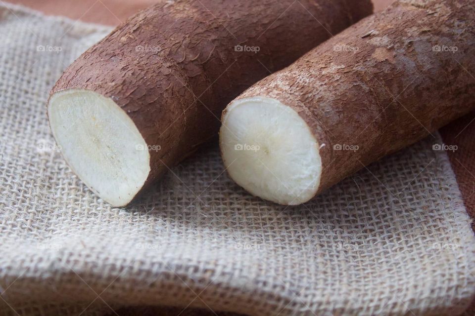 Cassava 