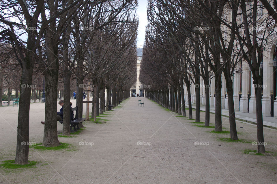 alley in a park paris france