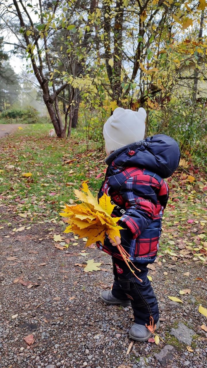 Autumn scene with a child