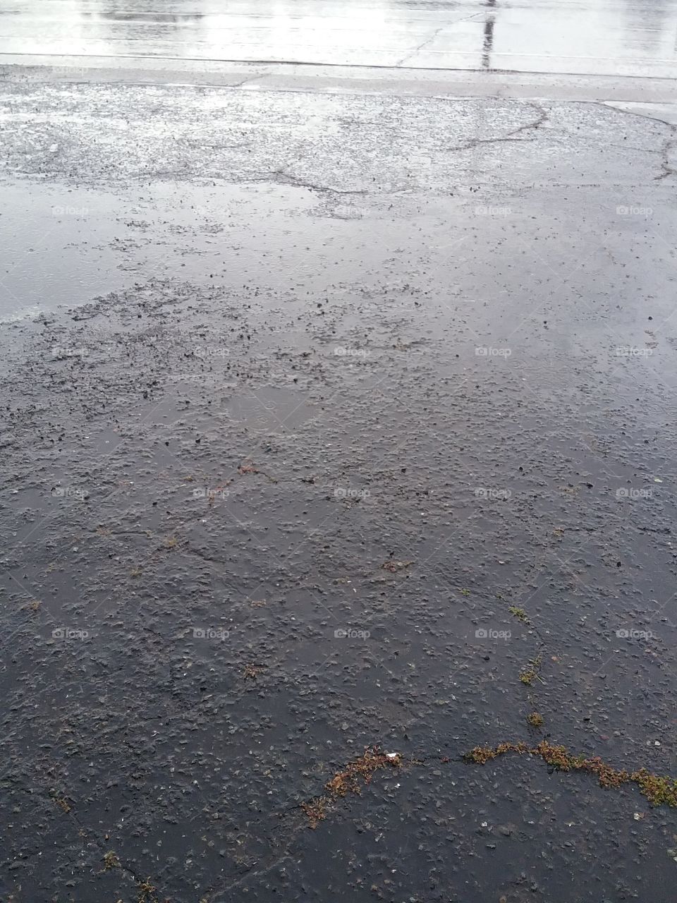 rain reflects of street ca