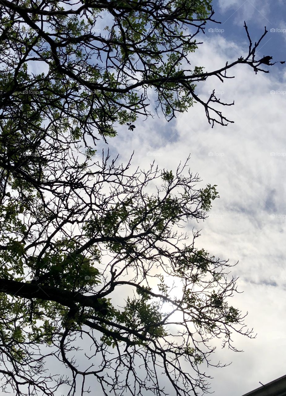 Sky Before the storm 