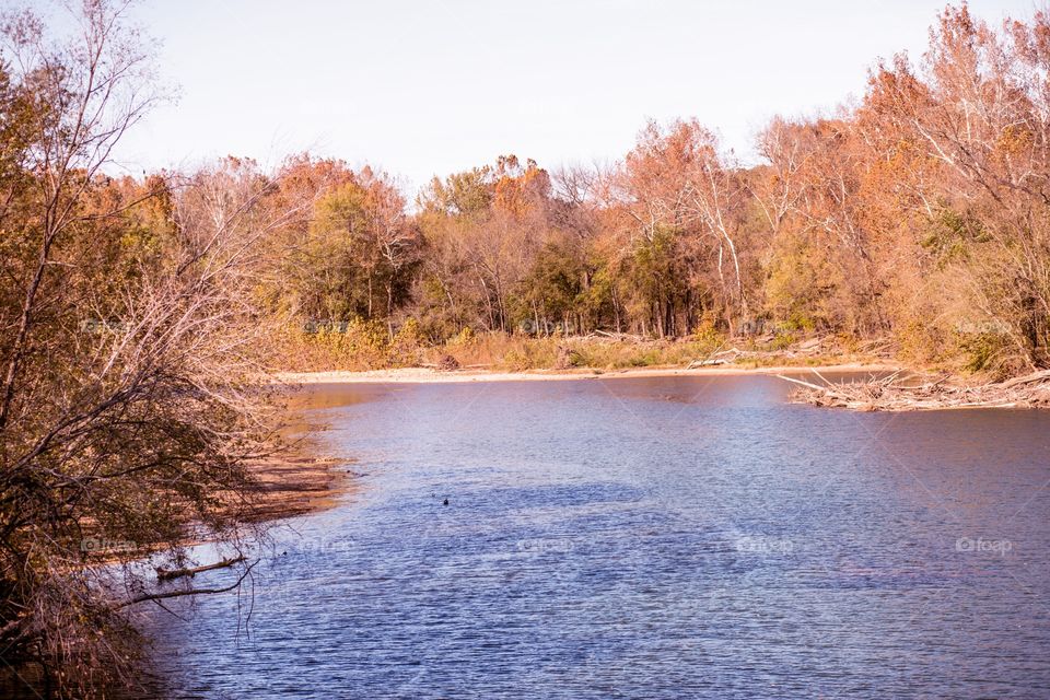 Fall at the river 
