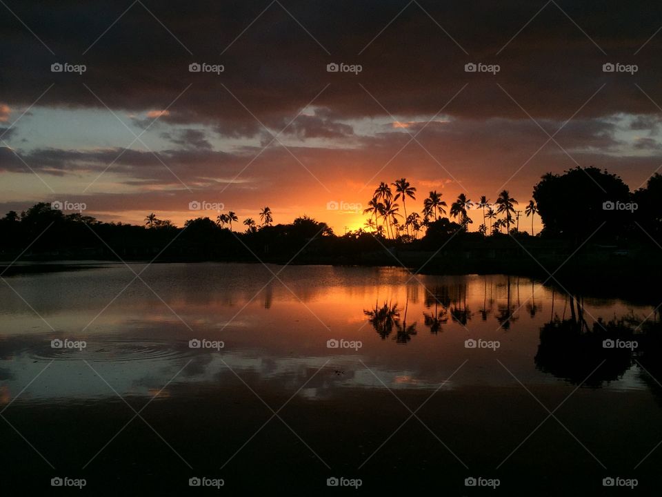 Calm lake with palm trees during sunset