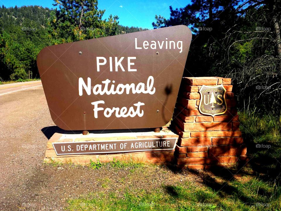 Pike National Forest sign