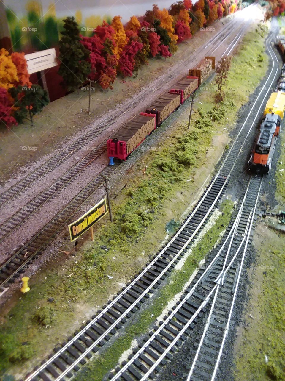 Rails and locomotive
