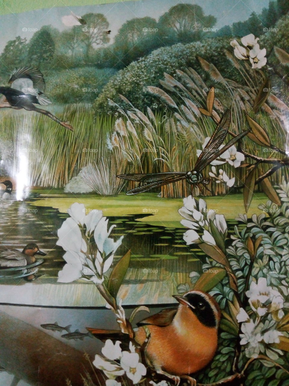 save the environment