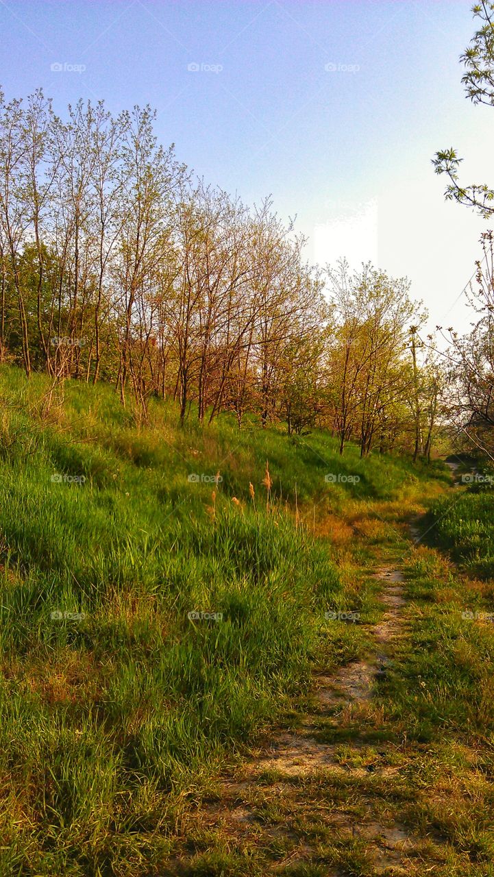 autumn slope осенний склон