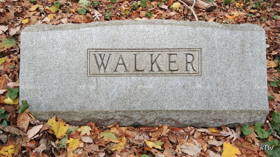 Walker