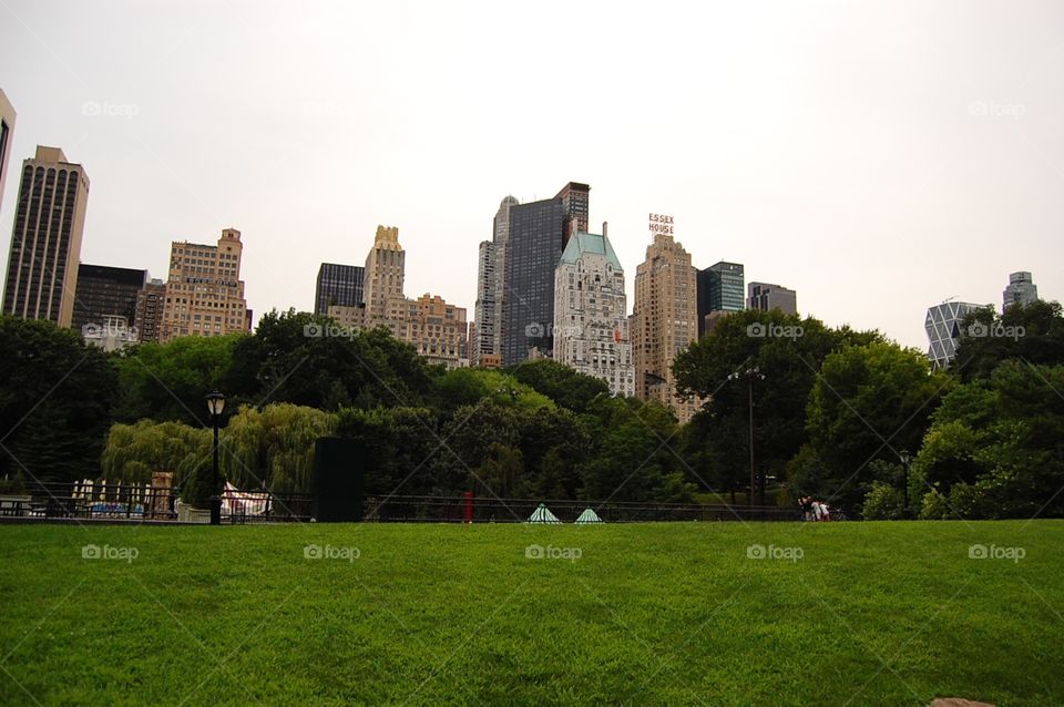 Central Park