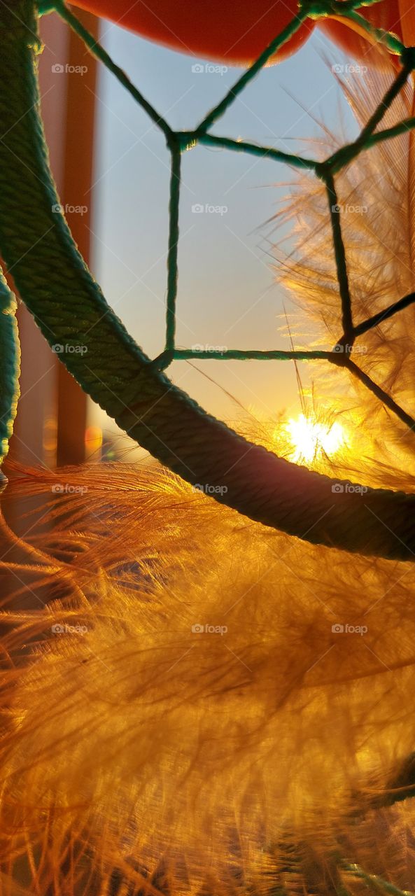 sunset 
dreamcatcher
nature 
no filter 
macro 📷