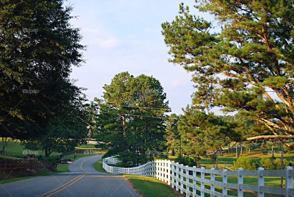 Scenics view of fence by road