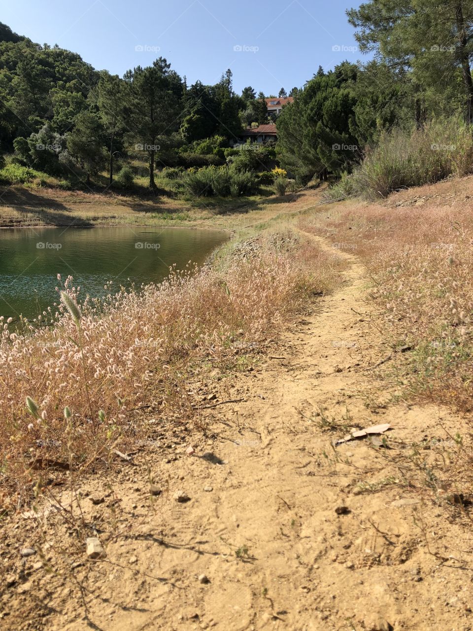 A dry and dusty track leads alongside a river to trees and blue sky in the distance - #nofilters, #truephotos, true nature