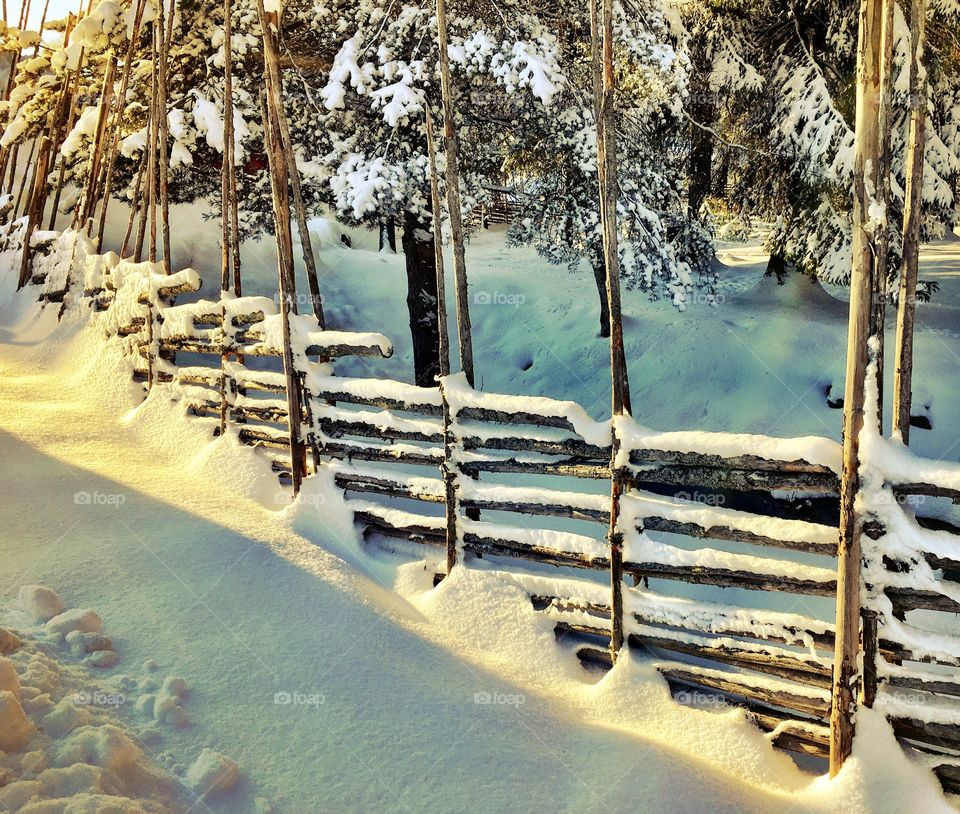 Snowy fence