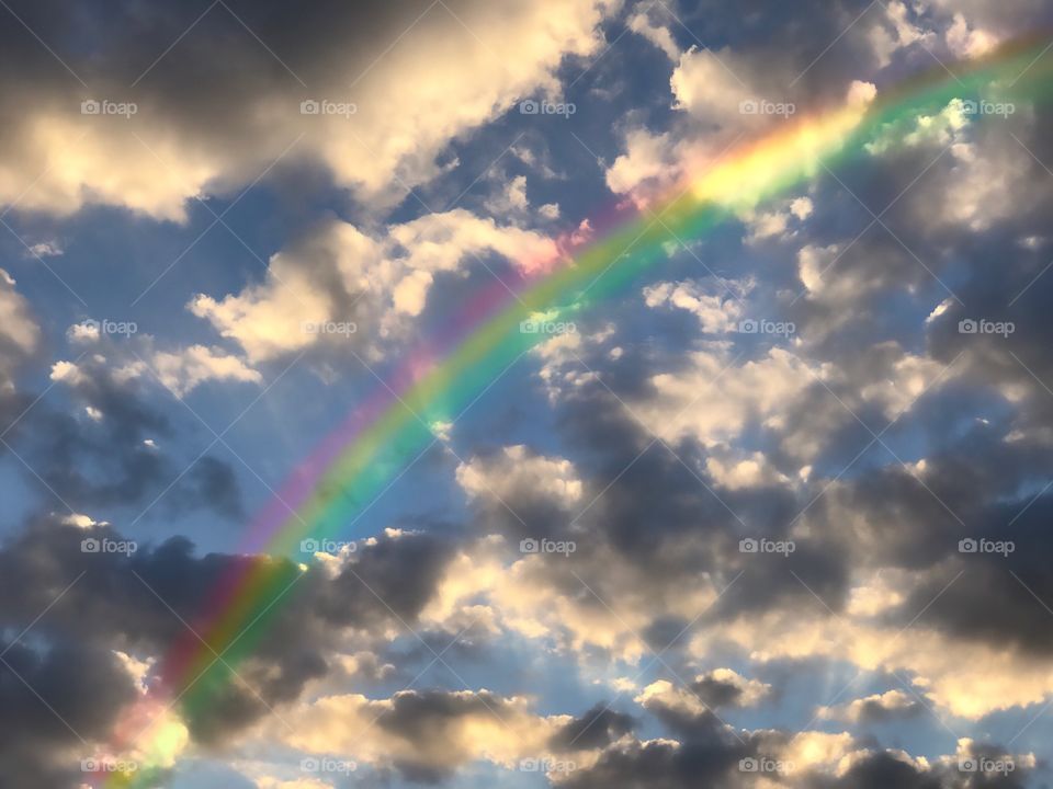 Rainbow after the rain.