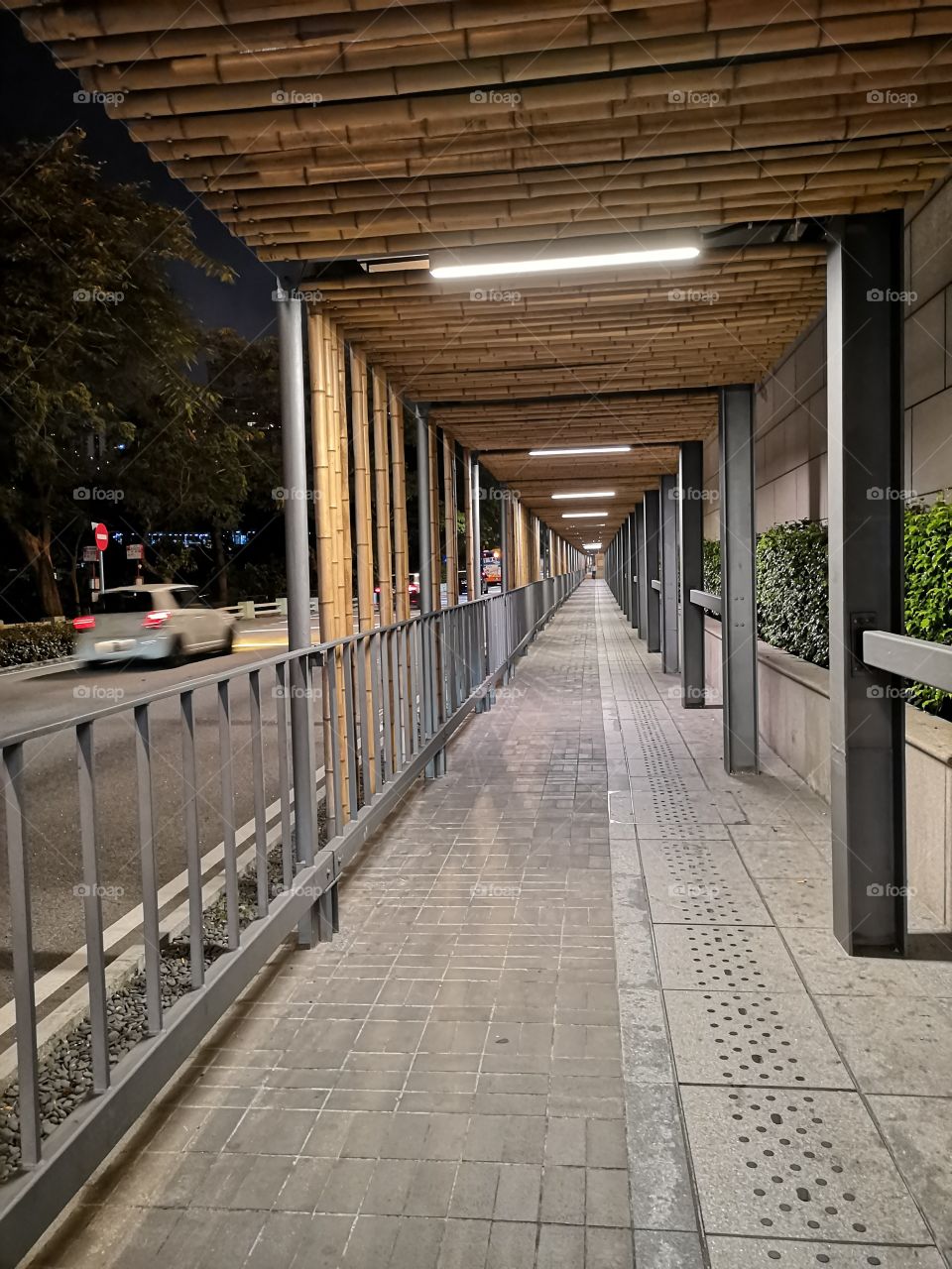 The Street Corridor at Night
