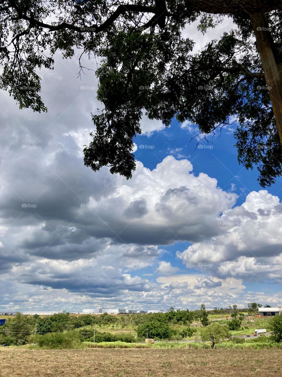 Um clique bacana da tarde jundiaiense:

Viva a natureza e a sua beleza. 

📸 #FOTOGRAFIAéNOSSOhobby