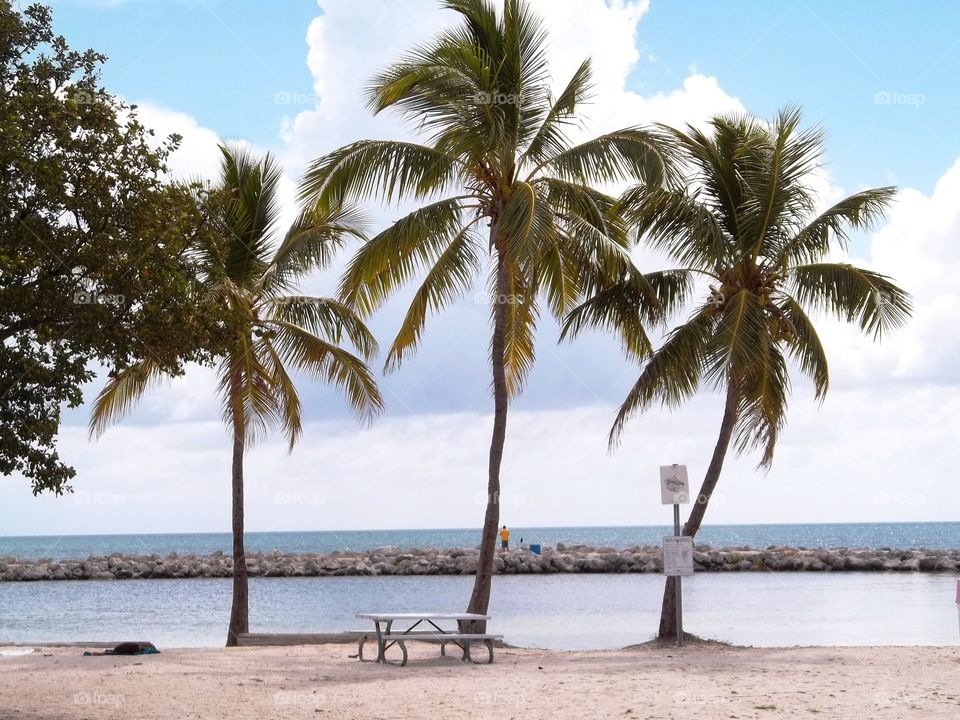 Empty bench on sandy beach