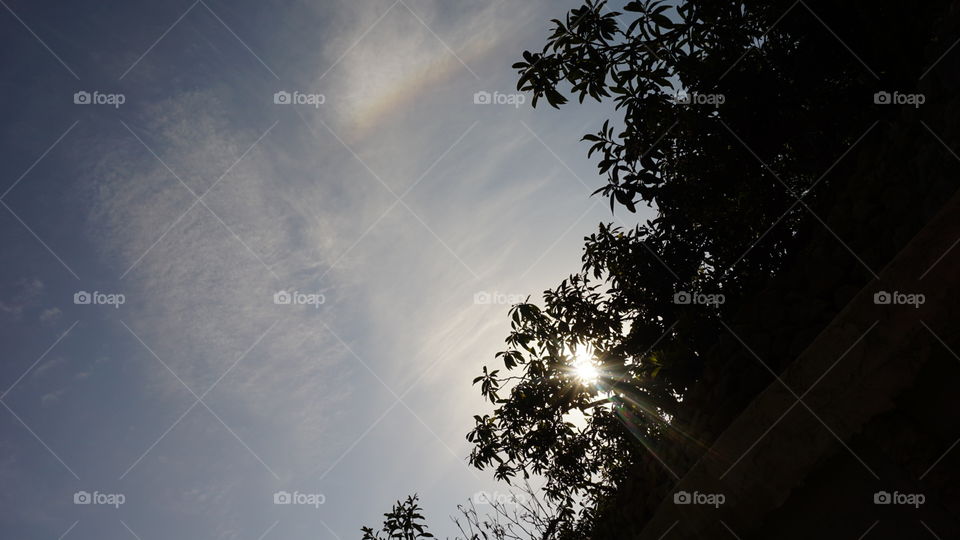 Sun#trees#nature#sky#adventure