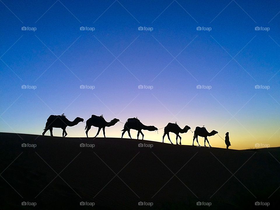 Shot in the Sahara desert in Morocco at sunset. 