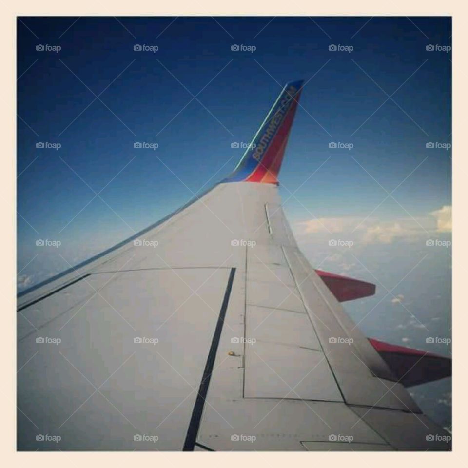 Southwest flight