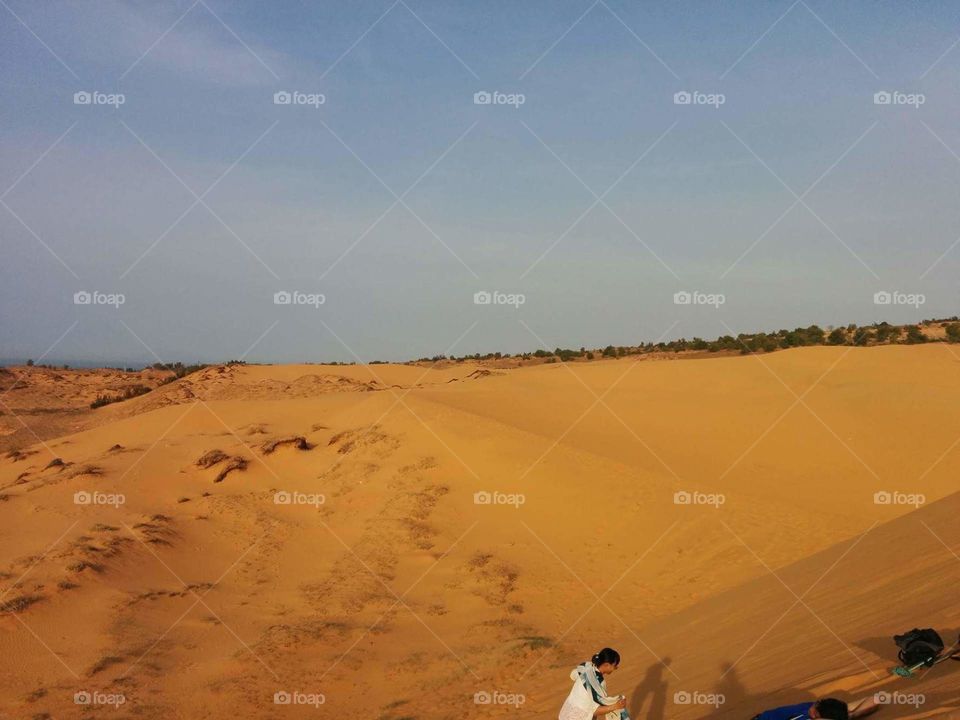 Desert, Sand, Landscape, Dune, No Person
