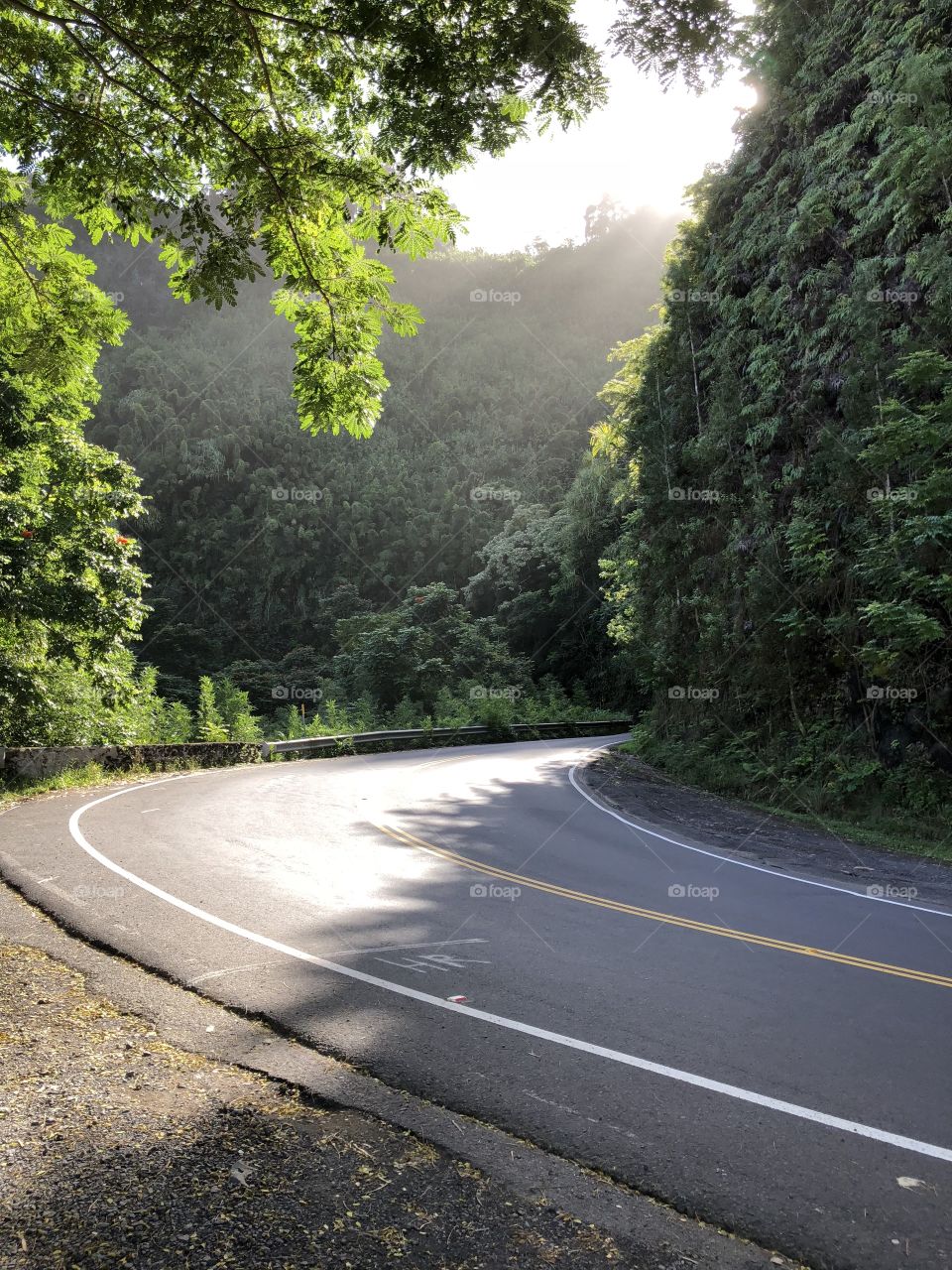 Maui, Hawaii road to Hana