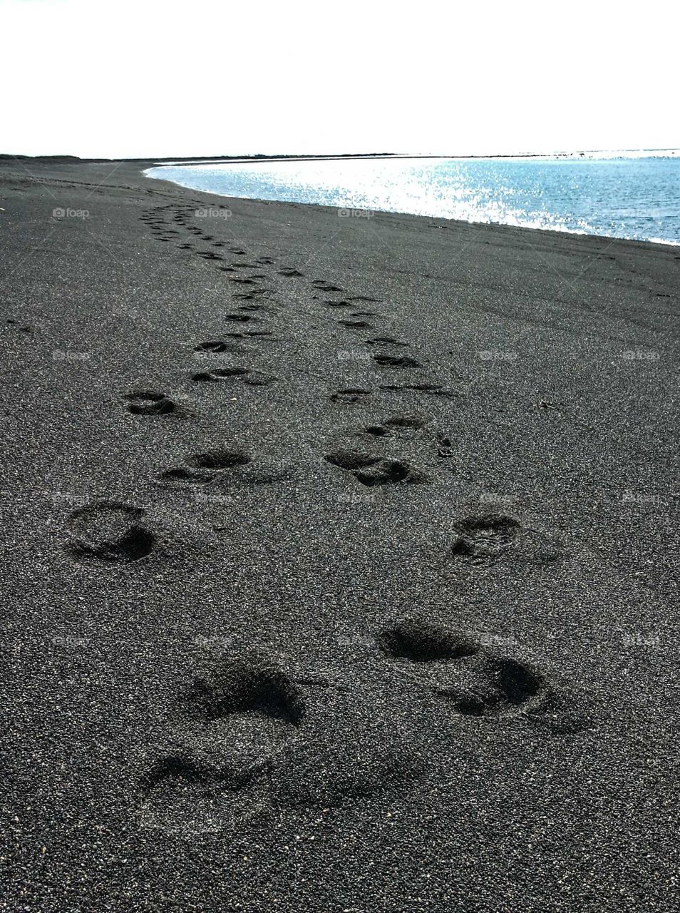 Black sand beach